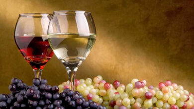 Ψηφιακή-ξενάγηση-στον-Δρόμο-του-Κρασιού-του-Παγγαίου