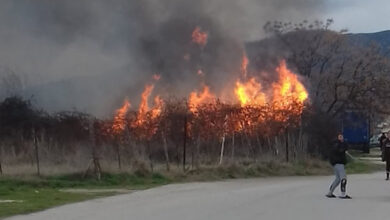 Πολύ-υψηλός-κίνδυνος-πυρκαγιάς-στην-ΠΕ.-Καβάλας-(κατηγορία-κινδύνου-4)