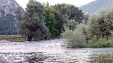 Αγνοείται-21χρονος-που-βούτηξε-στον-ποταμό-Νέστο