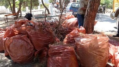 Καθάρισε-το-πάρκο-της-Καλαμίτσας-ο-Δήμος-Καβάλας