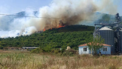 Πυρκαγιά-σε-δασική-έκταση-στην-είσοδο-των-Αντιφιλίππων