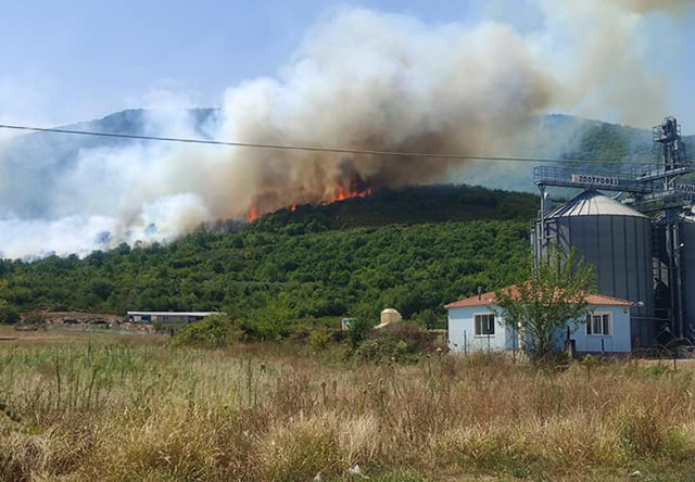 Πυρκαγιά-σε-δασική-έκταση-στην-είσοδο-των-Αντιφιλίππων