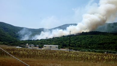 Συνελήφθη-ύποπτος-για-την-πυρκαγιά-στους-Αντιφιλίππους