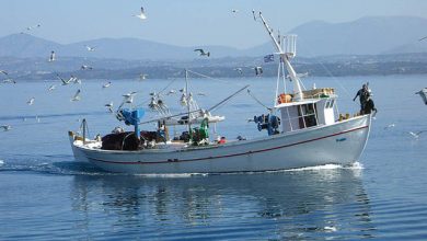 Ενημέρωση-από-την-ΑΝΚΑ-για-ενίσχυση-επιχειρήσεων-σε-τουρισμό-και-αλιεία