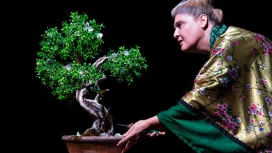 «bonsai.-Ιστορίες-για-το-Βέλος-του-Χρόνου»-στο-Θέατρο-Αμαλία