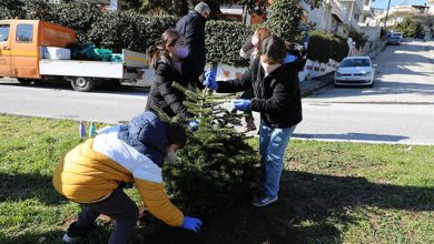 Τα-παιδιά-δημιούργησαν-το-Άλσος-των-Παραμυθιών!
