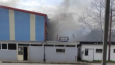 Φωτιά-στο-Κλειστό-Γυμναστήριο-του-Αμυγδαλεώνα