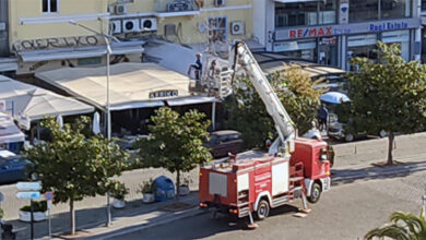 Απεγκλωβισμός-παγιδευμένου-γλάρου-από-την-Πυροσβεστική