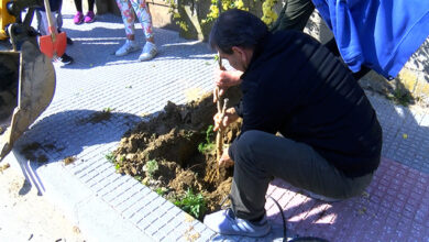 Δενδροφυτεύσεις-στο-αστικό-περιβάλλον-της-Χρυσούπολης