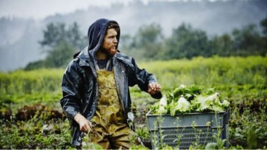 Προσλήψεις-120-γεωπόνων-–-εκτιμητών-στον-ΕΛΓΑ