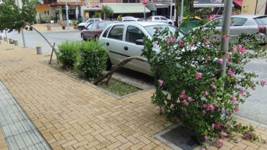 Το-είχαμε-πει,-κανείς-δεν-μας-άκουσε