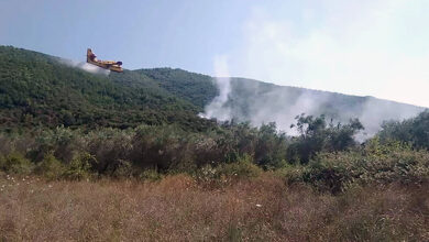 Ισχυρές-δυνάμεις-επιχειρούν-στη-φωτιά-στα-Κηπιά