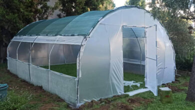 Δωρεά-θερμοκηπίου-στο-ΚΔΑΠ-–-ΑμεΑ-της-«ΔΗΜΩΦΕΛΕΙΑ»-από-τον-Ροταριανό-Όμιλο-Δυτικής-Καβάλας