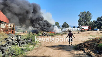 Φωτιά-σε-κτηνοτροφική-μονάδα-στην-Λυδία