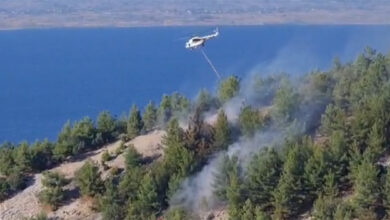  Πυρκαγιά-σε-δασική-έκταση-στο-Ραχώνι- 