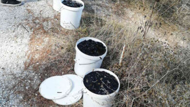 Θάσος:-Ψάρεψαν-παράνομα-522-κιλά-«ολοθούριο»