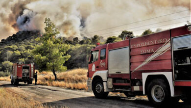 Πυρκαγιά-σε-δασική-έκταση-στο-Πυργοχώρι
