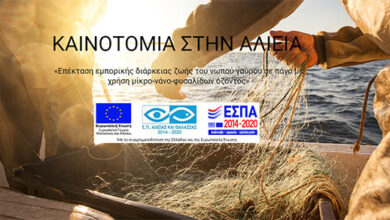 Πως-επεκτείνεται-η-εμπορική-διάρκεια-ζωής-του-νωπού-γαύρου-με-χρήση-μίκρο-νάνο-φυσαλίδων-όζοντος