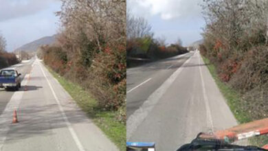 Εργασίες-της-ΠΕ-Καβάλας-σε-δέντρα-και-θάμνους-στην-εθνική-οδό-προς-Δράμα