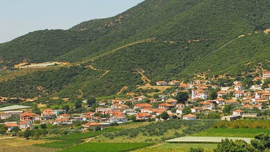 Παγγαίο:-Νεκρός-βρέθηκε-55χρονος-βοσκός