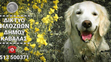 Δίκτυο-Φιλόζωων-δημιουργεί-ο-Δήμος-Καβάλας