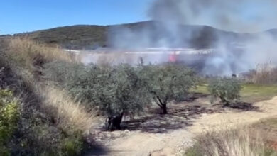 Φωτιά-στη-Νέα-Πέραμο