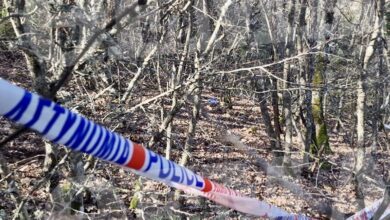 Νεκρή-κτηνοτρόφος-στο-Ποδοχώρι-Την-χτύπησαν-σε-διάφορα-σημεία-του-σώματος-της