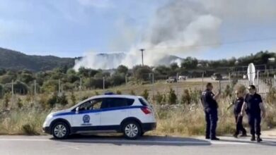 Πυρκαγιά-σε-δασική-έκταση-στην-περιοχή-της-Αλμύρας