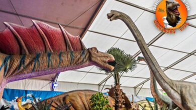 Η-έκθεση-ρομποτικών-Δεινοσαύρων-στην-Καβάλα