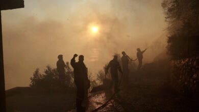 Μάχη-με-τις-φλόγες-στα-Δερβενοχώρια-–-Καλύτερη-η-εικόνα-της-φωτιάς-σε-Κουβαρά,-Κερατέα-και-Λουτράκι