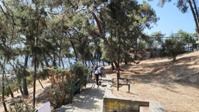 Καθαρισμός-δασικών-εκτάσεων-και-κοινόχρηστων-χώρων-στην-πόλη-της-Καβάλας