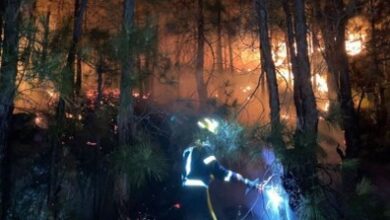 Μικρής-έκτασης-πυρκαγιά-σε-δασική-περιοχή-στο-Παγγαίο-Η-άμεση-επέμβαση-απέτρεψε-τα-χειρότερα