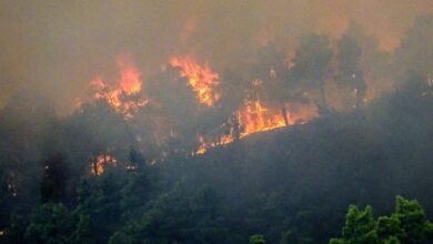 Φωτιά-στη-Ρόδο:-Επιχειρούν-πάνω-από-300-πυροσβέστες-με-49-υδροφόρα-οχήματα-–-Ρίψεις-νερού-πραγματοποιούν-5-ελικοπτερα-και-10-αεροσκάφη