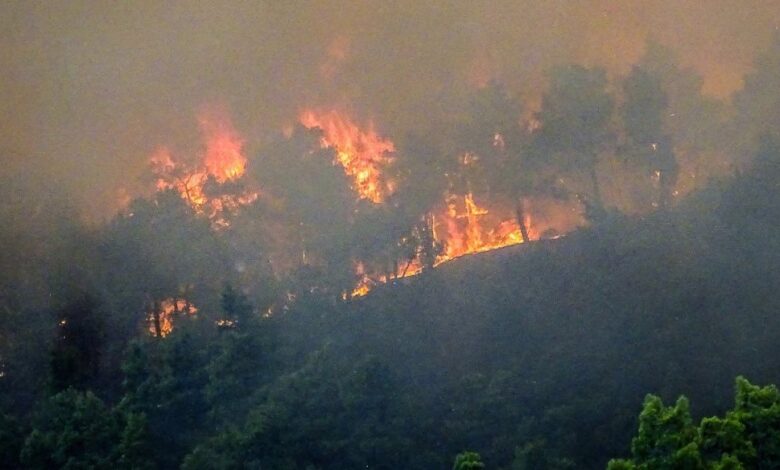 Φωτιά-στη-Ρόδο:-Επιχειρούν-πάνω-από-300-πυροσβέστες-με-49-υδροφόρα-οχήματα-–-Ρίψεις-νερού-πραγματοποιούν-5-ελικοπτερα-και-10-αεροσκάφη
