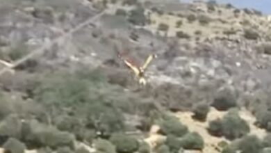 Φωτιά-στην-Εύβοια:-Έπεσε-canadair-στην-Κάρυστο