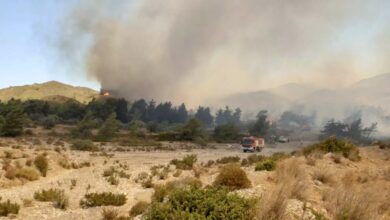 Φωτιά-σε-Ρόδο,-Κέρκυρα:-Υπεράνθρωπη-μάχη-με-τις-φλόγες,-μεγάλη-ανησυχία-για-τους-ισχυρούς-ανέμους