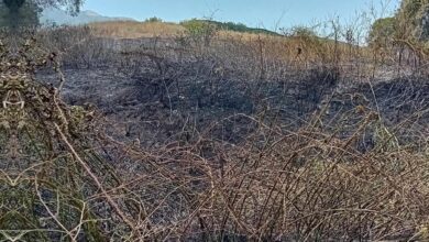 Φωτιά-στον-κάμπο-των-Αντιφιλίππων