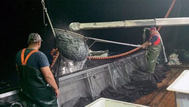 Νέα-Πέραμος-Καβάλας:-Ψαρεύοντας-με-τα-βορειοελλαδίτικα-γρι-γρι-που-ταΐζουν-με-γαύρο-και-σαρδέλα-όλη-τη-χώρα