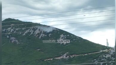 Πυρκαγιά-μικρής-έκτασης-στη-Νικήσιανη-Παγγαίου-