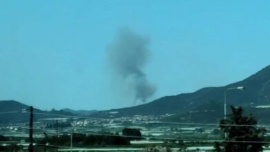 Πυρκαγιά-σε-χωράφια-με-ελιές-στην-περιοχή-του-Μυρτοφύτου