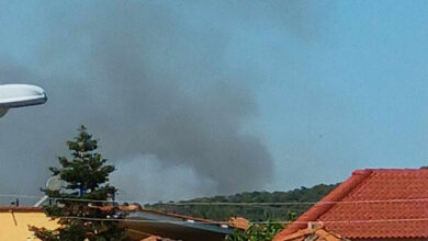 Αμπέλια-και-ένα-φωτοβολταϊκό-πάρκο-κάηκαν-από-την-πυρκαγιά-στο-Μυρτόφυτο