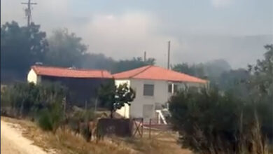 Ανεξέλεγκτο-το-μέτωπο-της-πυρκαγιάς-στο-Διαλεκτό