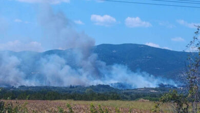 Βελτιωμένη-η-εικόνα-της-πυρκαγιάς-στον-δήμο-Νέστου