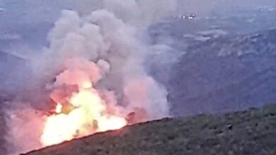 Αναζωπύρωση-της-φωτιάς-στην-Αβραμυλιά-στο-Δήμο-Νέστου