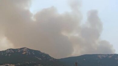 Φωτιές:-Μάχη-με-τις-φλόγες-σε-Έβρο-και-Άνδρο-–-Βελτιωμένη-εικόνα-σε-Βοιωτία-και-Φθιώτιδα