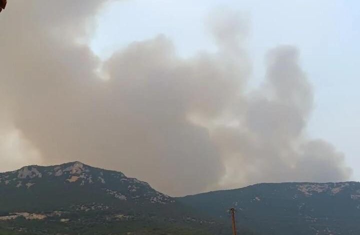 Φωτιές:-Μάχη-με-τις-φλόγες-σε-Έβρο-και-Άνδρο-–-Βελτιωμένη-εικόνα-σε-Βοιωτία-και-Φθιώτιδα