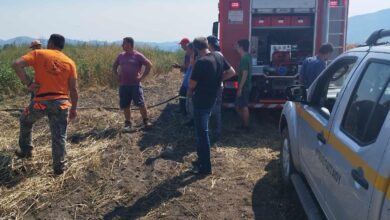 Εθελοντές,-πυροσβέστες-και-υπάλληλοι-του-Δήμου-Παγγαίου-δίνουν-τον-καλύτερο-τους-εαυτό-για-να-αποφύγουμε-τυχών-αναζωπυρώσεις-στη-φωτιά-στους-Αντιφιλίππους