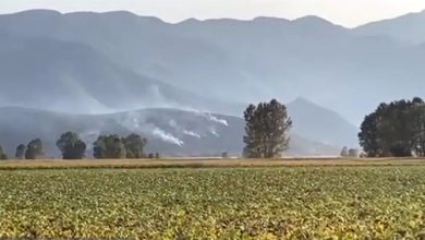 Φωτιά-στους-Αντιφιλίπππους:-Η-άμεση-κινητοποίηση-απέτρεψε-τα-χειρότερα