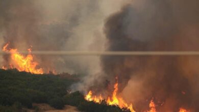 Φωτιά-στο-Παγγαίο-όρος