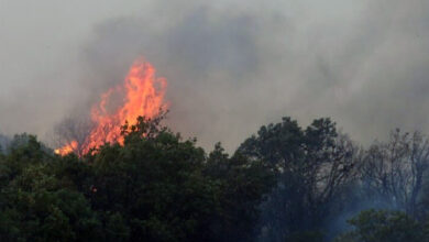 Σέρρες:-Σε-εξέλιξη-η-φωτιά-που-ξέσπασε-στο-Παγγαίο-Όρος